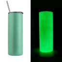 Sublimation 20oz glow in the dark straight straw skinny tumblers-green