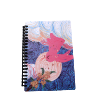 Sublimation  PET Plastic Cover Spiral Notebook-B5