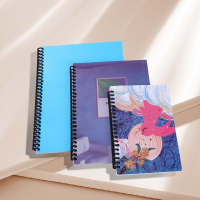 Sublimation  PET Plastic Cover Spiral Notebook-B5